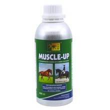 Load image into Gallery viewer, TRM Muscle-Up