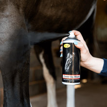 Load image into Gallery viewer, Smart Grooming Cover Up Spray 400ml