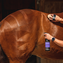 Load image into Gallery viewer, Dreamcoat