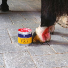 Load image into Gallery viewer, Carr & Day & Martin Protection Plus 500g