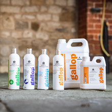 Load image into Gallery viewer, Gallop® Everyday Conditioning Shampoo (500ml)