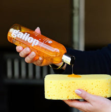 Load image into Gallery viewer, Gallop® Colour – Chestnut & Palomino