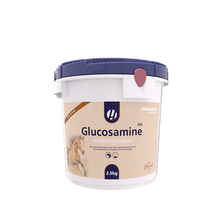 Load image into Gallery viewer, Hestevard Glucosamine HCI