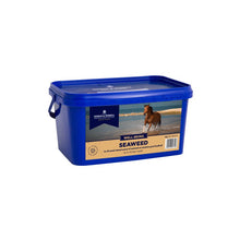 Load image into Gallery viewer, Dodson & Horrell Seaweed