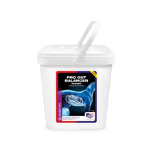 Load image into Gallery viewer, Equine America Pro Gut Balancer