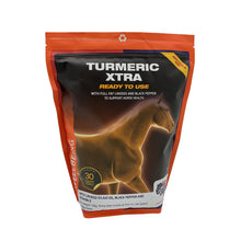 Load image into Gallery viewer, Equine America Turmeric Xtra