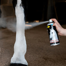 Load image into Gallery viewer, Smart Grooming Cover Up Spray 400ml