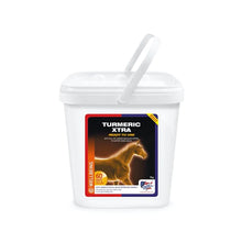Load image into Gallery viewer, Equine America Turmeric Xtra