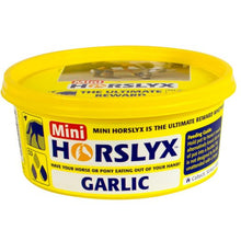 Load image into Gallery viewer, Horslyx Minilick 650g (Available in 6 Flavours)