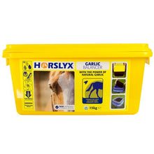 Load image into Gallery viewer, Horslyx Garlic