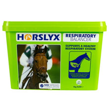 Load image into Gallery viewer, Horslyx Respiratory