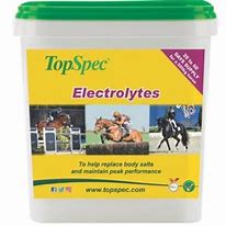 Load image into Gallery viewer, TopSpec Electrolytes