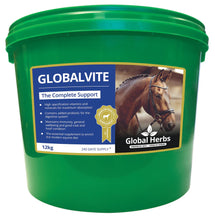 Load image into Gallery viewer, Global Herbs GlobalVite
