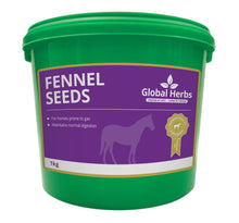 Load image into Gallery viewer, Global Herbs Fennel Seeds
