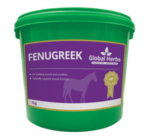 Load image into Gallery viewer, Global Herbs Fenugreek Seeds 1kg

