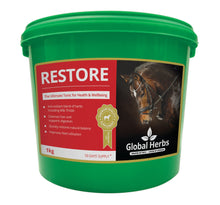 Load image into Gallery viewer, Global Herbs Restore
