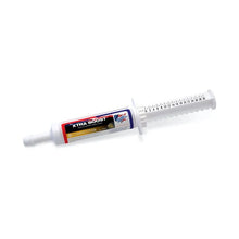 Load image into Gallery viewer, Equine America Xtra Boost Hemogen
