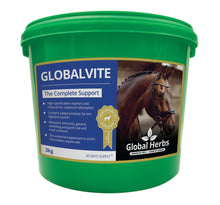 Load image into Gallery viewer, Global Herbs GlobalVite
