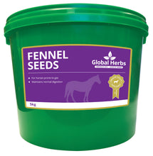 Load image into Gallery viewer, Global Herbs Fennel Seeds
