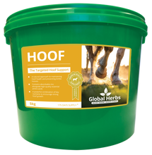 Load image into Gallery viewer, Global Herbs Hoof
