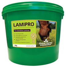 Load image into Gallery viewer, Global Herbs LamiPro
