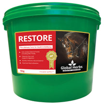 Load image into Gallery viewer, Global Herbs Restore
