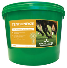 Load image into Gallery viewer, Global Herbs TendonEaze

