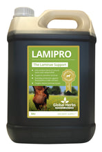 Load image into Gallery viewer, Global Herbs LamiPro
