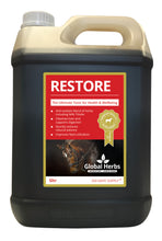 Load image into Gallery viewer, Global Herbs Restore
