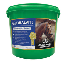 Load image into Gallery viewer, Global Herbs GlobalVite
