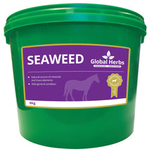 Load image into Gallery viewer, Global Herbs Seaweed
