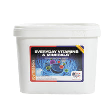 Load image into Gallery viewer, Equine America Everyday Vitamin &amp; Mineral Supplement
