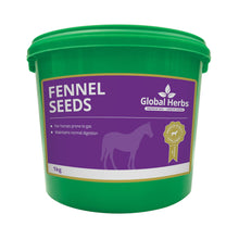 Load image into Gallery viewer, Global Herbs Fennel Seeds

