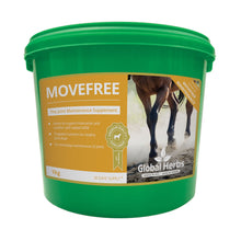 Load image into Gallery viewer, Global Herbs Movefree
