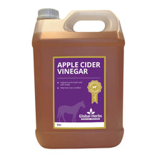 Load image into Gallery viewer, Global Herbs Apple Cider Vinegar
