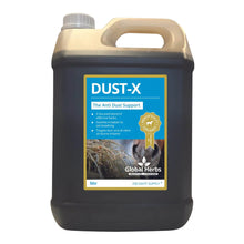 Load image into Gallery viewer, Global Herbs Dust-X Liquid
