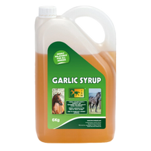 Load image into Gallery viewer, TRM Garlic Syrup
