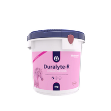 Load image into Gallery viewer, Hestevard Duralyte-R
