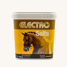 Load image into Gallery viewer, NAF Electro Salts
