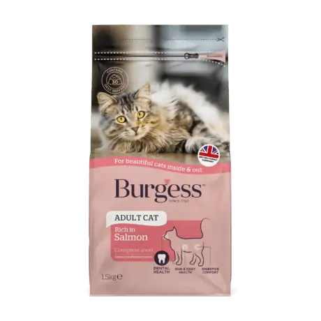 Burgess Adult Cat Rich in Scottish Salmon 10kg