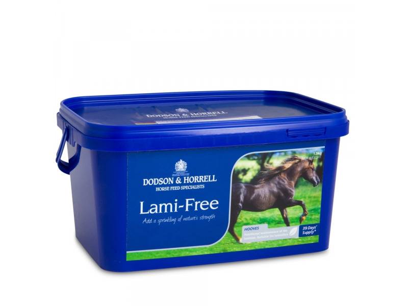 Dodson & Horrell Lami-Free 1.5Kg