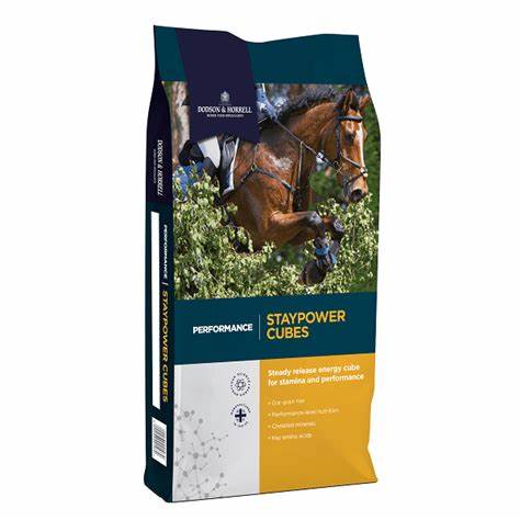 Dodson & Horrell Performance Staypower Cubes 20Kg