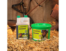 Load image into Gallery viewer, Global Herbs LamiPro Powder &amp; Liquid
