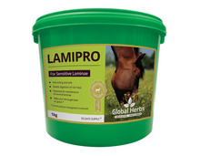 Load image into Gallery viewer, Global Herbs LamiPro Powder &amp; Liquid

