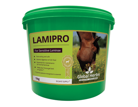 Global Herbs LamiPro