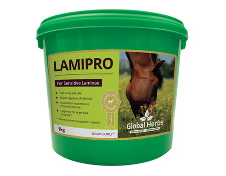 Global Herbs LamiPro Powder & Liquid