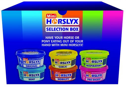 Horslyx Minilick Assorted (6 x 650g)
