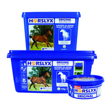 Load image into Gallery viewer, Horslyx Original

