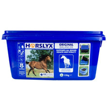 Load image into Gallery viewer, Horslyx Original
