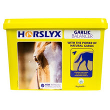 Load image into Gallery viewer, Horslyx Garlic
